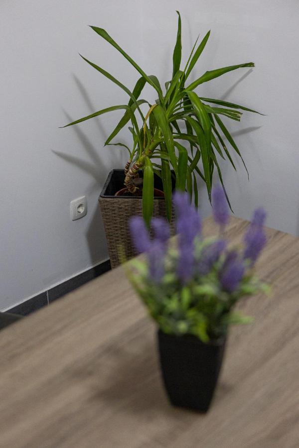 Apartman Toni Спліт Екстер'єр фото